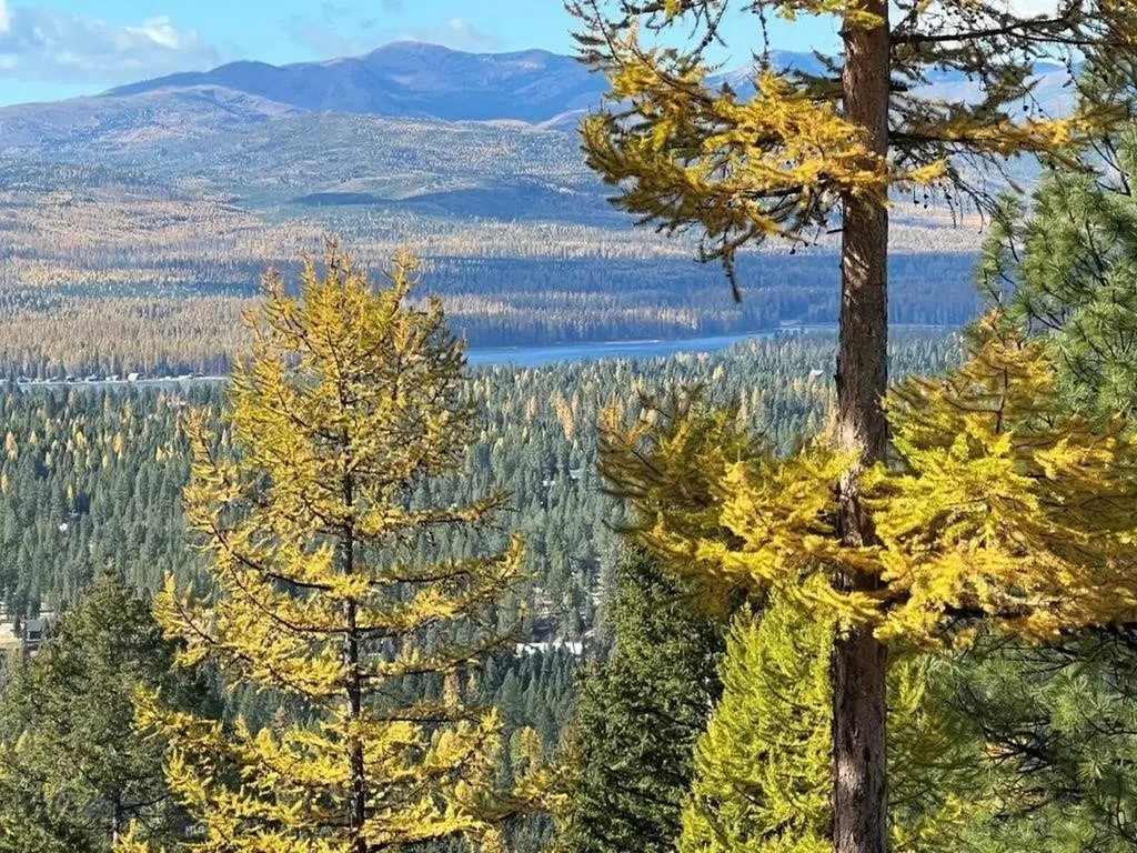 968 Bitterroot Drive Seeley Lake MT 59868