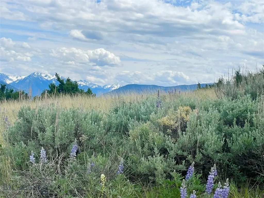 Tract 9c Gateway Drive Livingston MT 59047