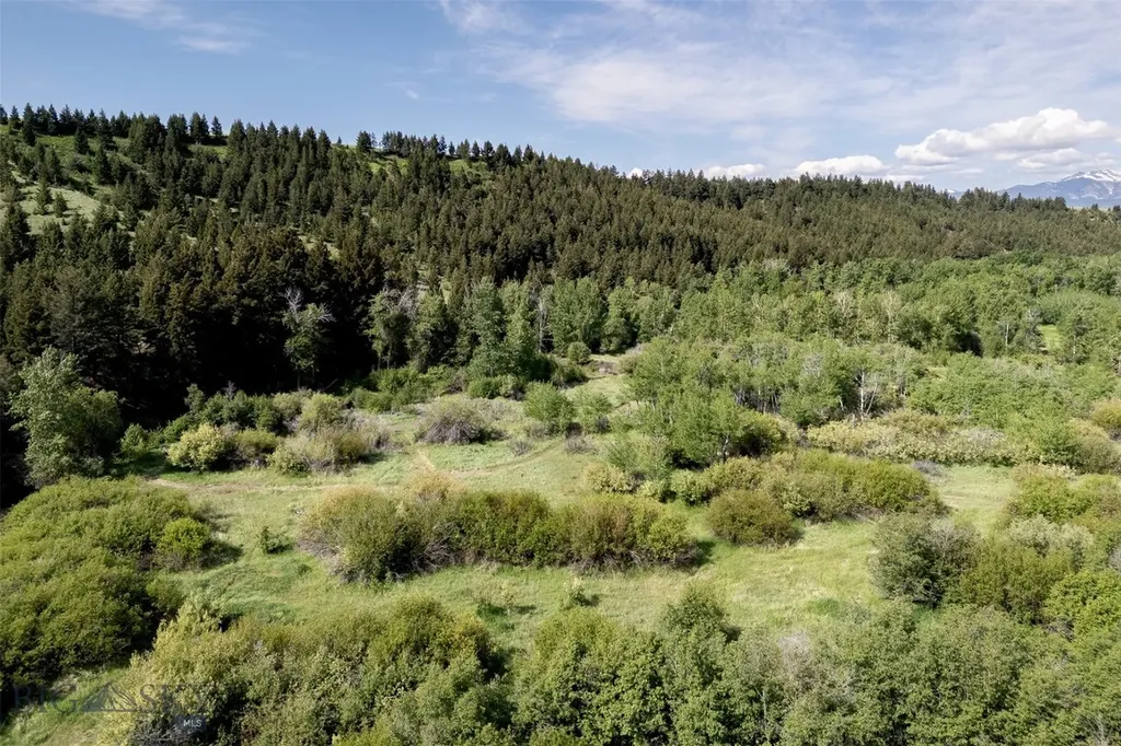 992 Deer Haven Drive Deer Lodge MT 59722