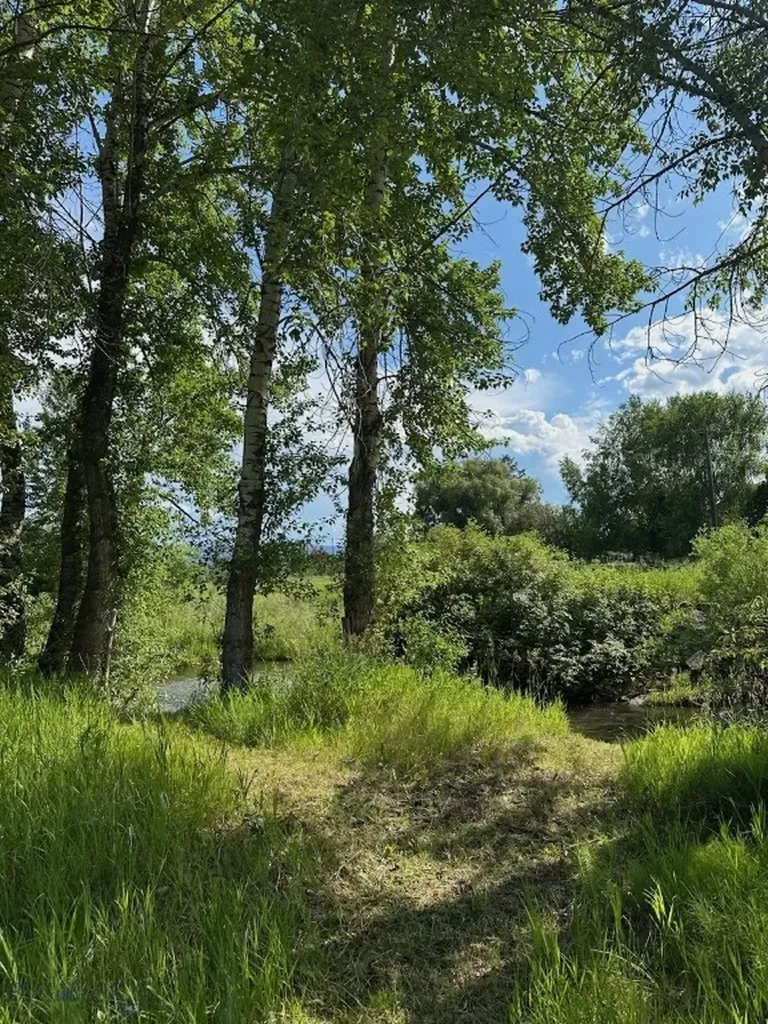 809 W Rocky Creek Bozeman MT 59715