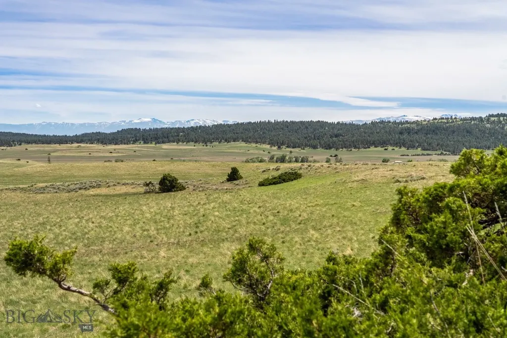 802 Deadmans Canyon Road Reed Point MT 59069