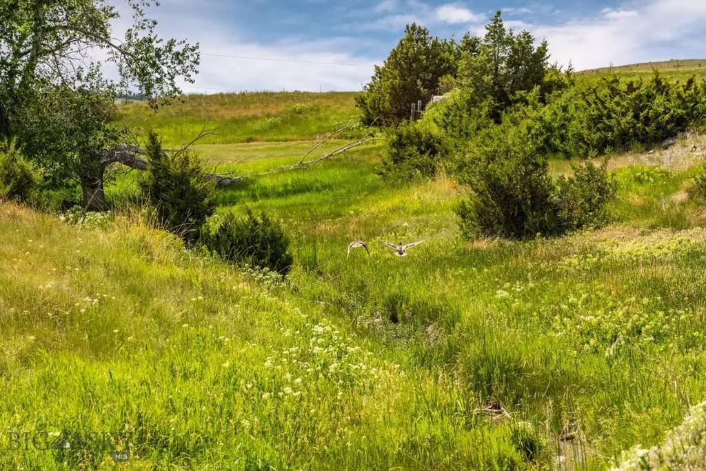 802 Deadmans Canyon Road Reed Point MT 59069