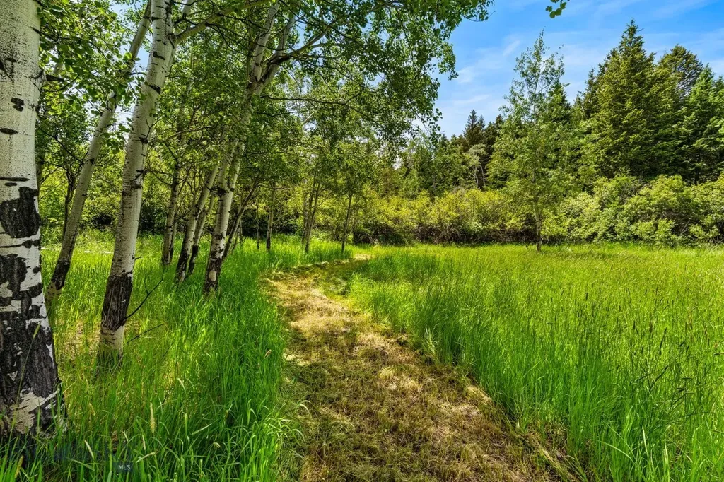 207 Martinez Spring Road Bozeman MT 59718