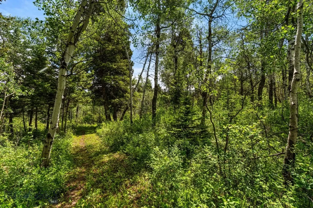 207 Martinez Spring Road Bozeman MT 59718