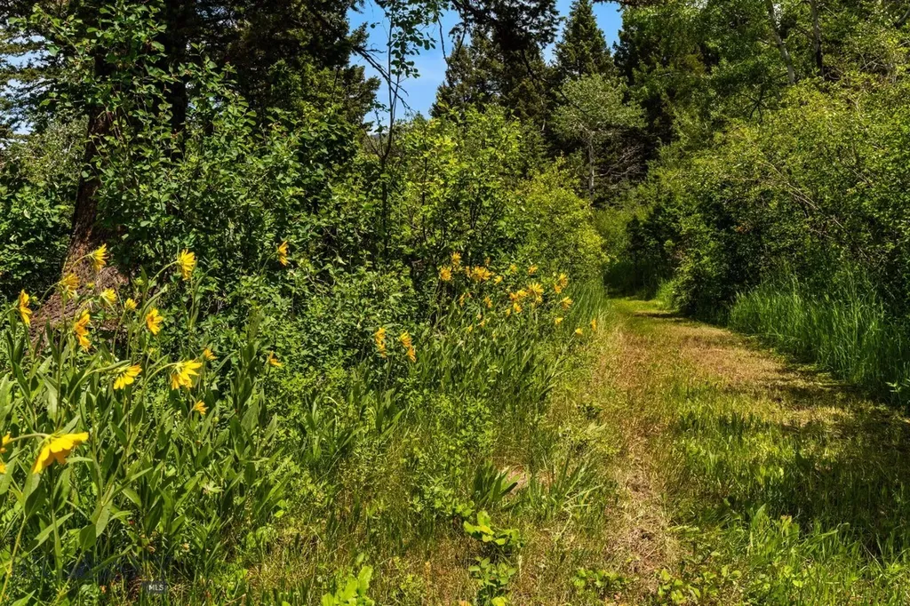 207 Martinez Spring Road Bozeman MT 59718