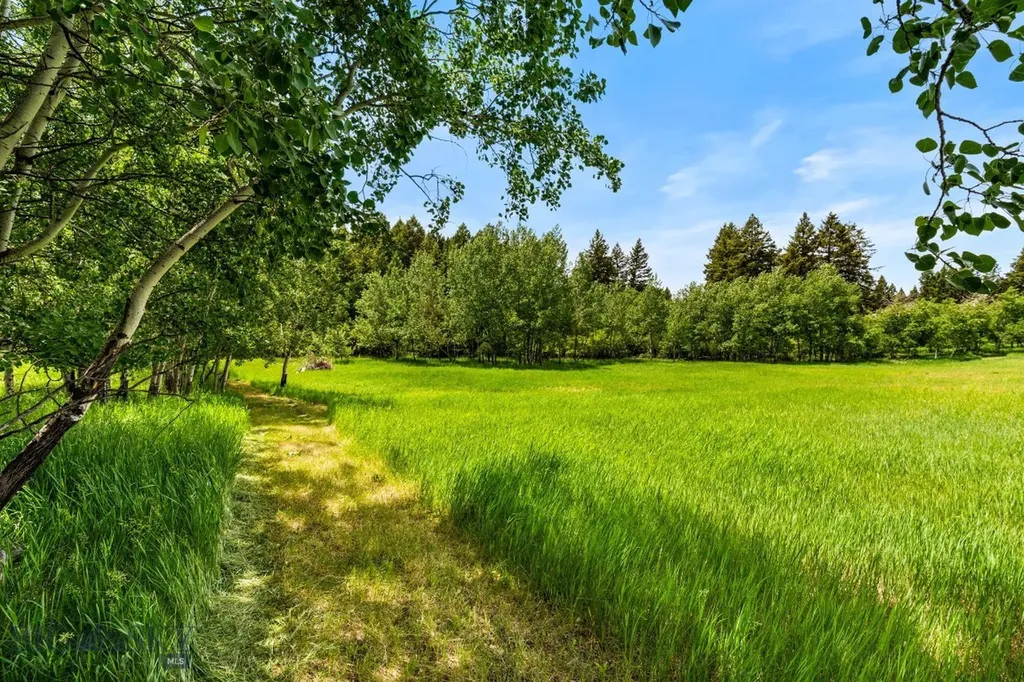 207 Martinez Spring Road Bozeman MT 59718
