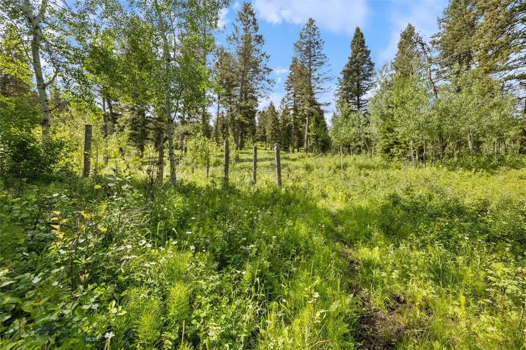 750 Black Bear Road Bozeman MT 59718