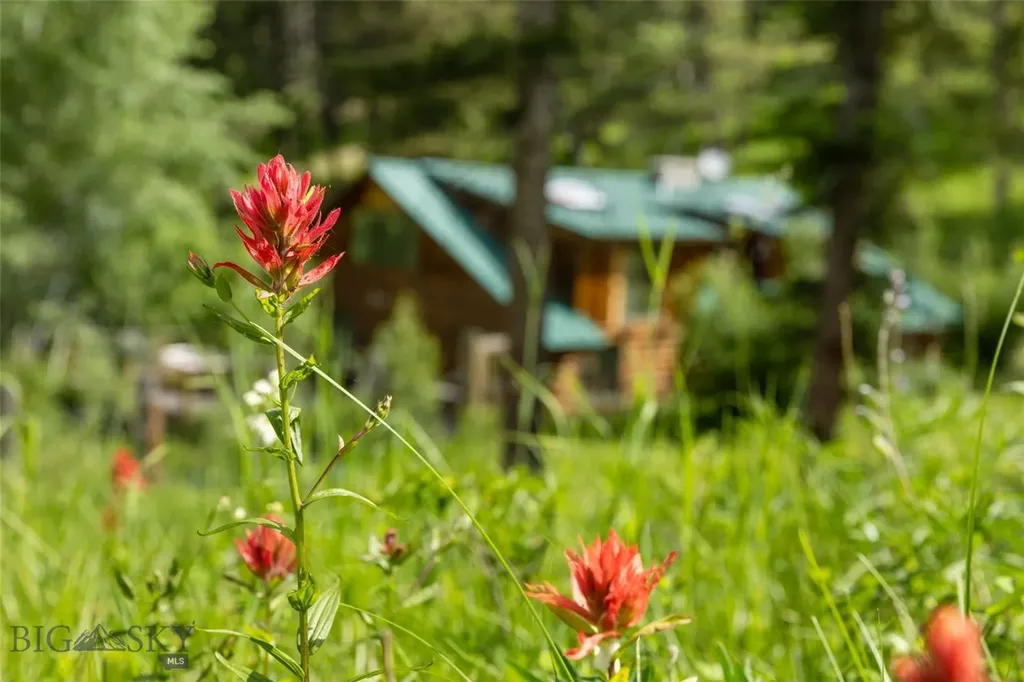 750 Black Bear Road Bozeman MT 59718