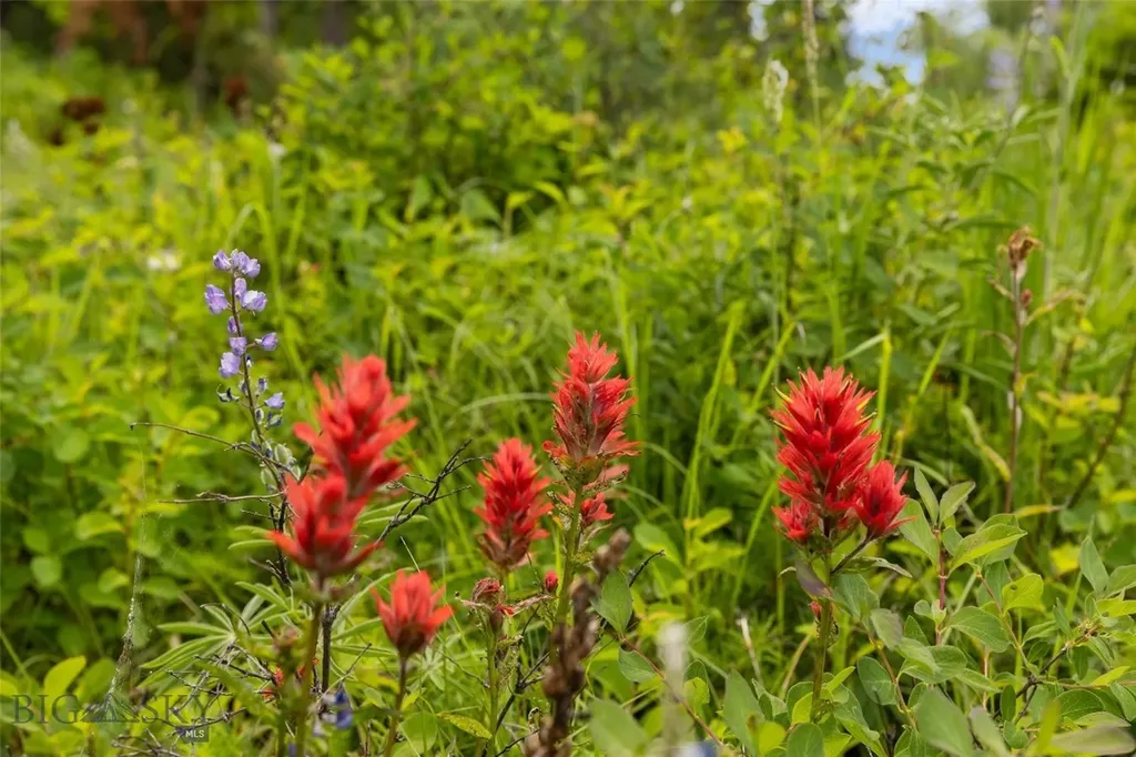 750 Black Bear Road Bozeman MT 59718