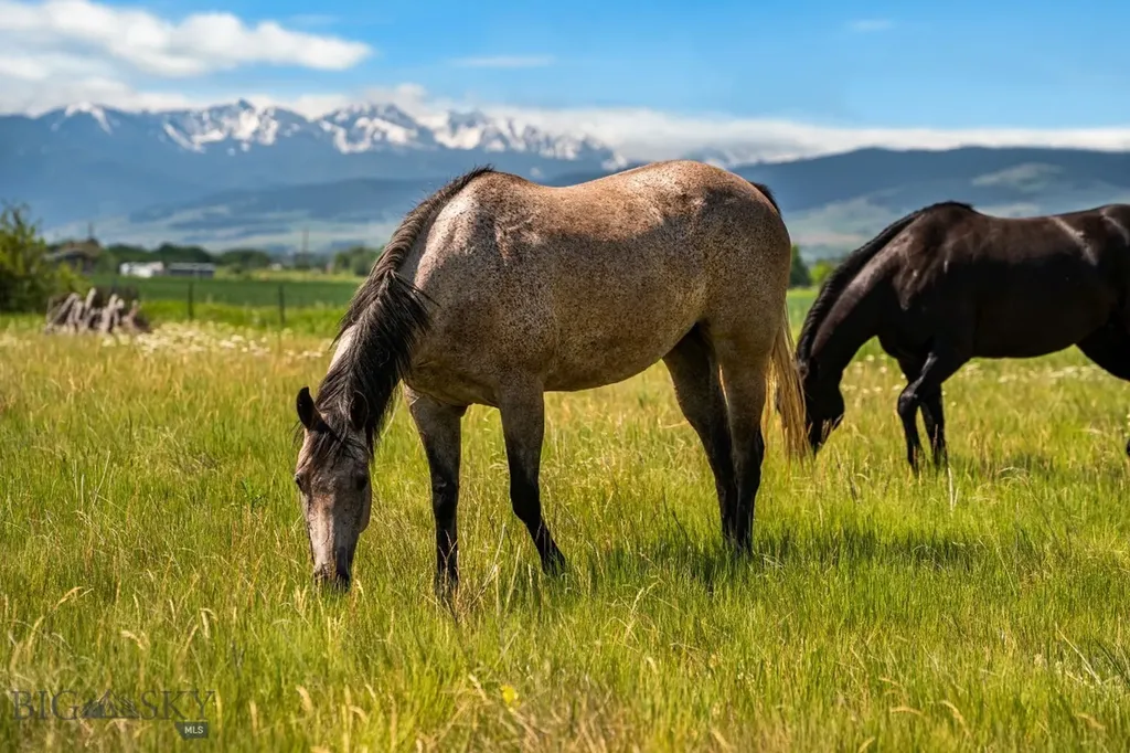 Tbd Dovetail Lane Bozeman MT 59715