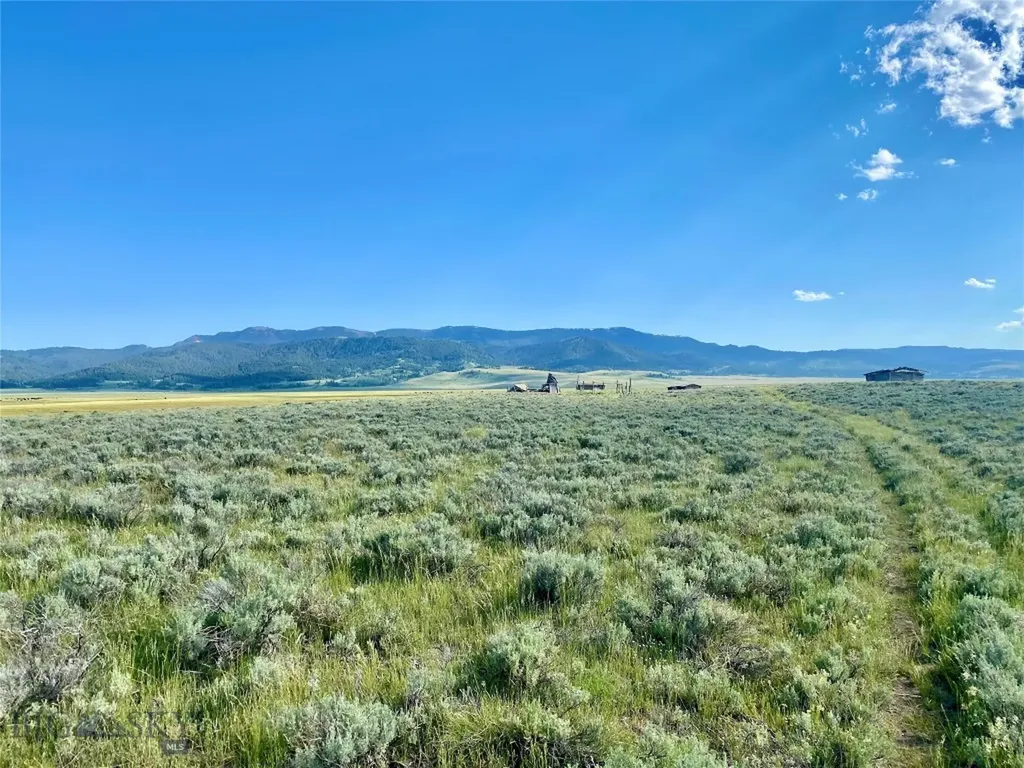Tbd Brundage Lane Lima MT 59739