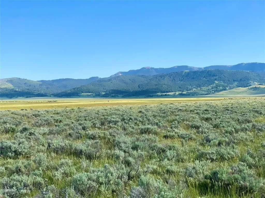 Tbd Brundage Lane Lima MT 59739