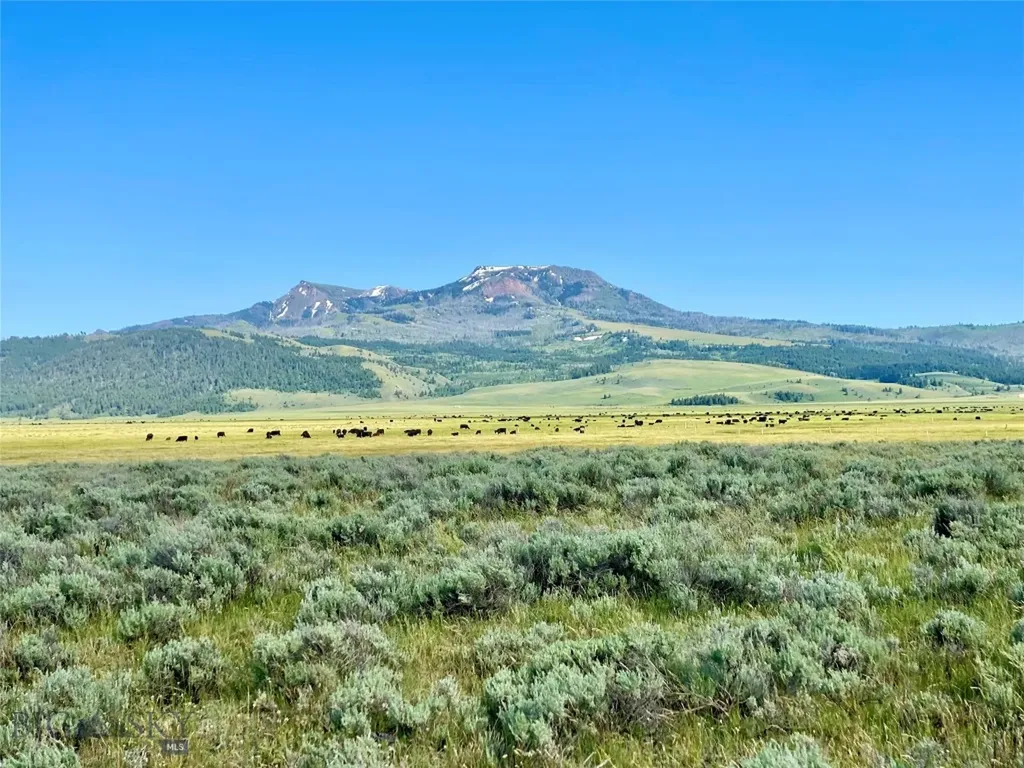 Tbd Brundage Lane Lima MT 59739