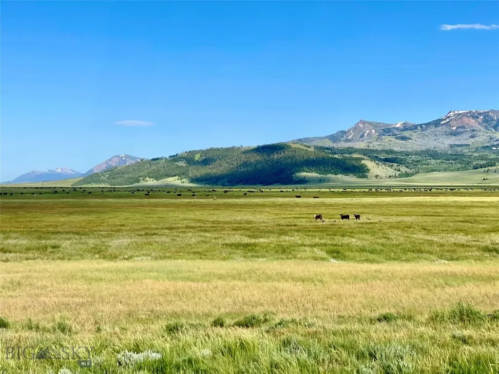 Tbd Brundage Lane Lima MT 59739