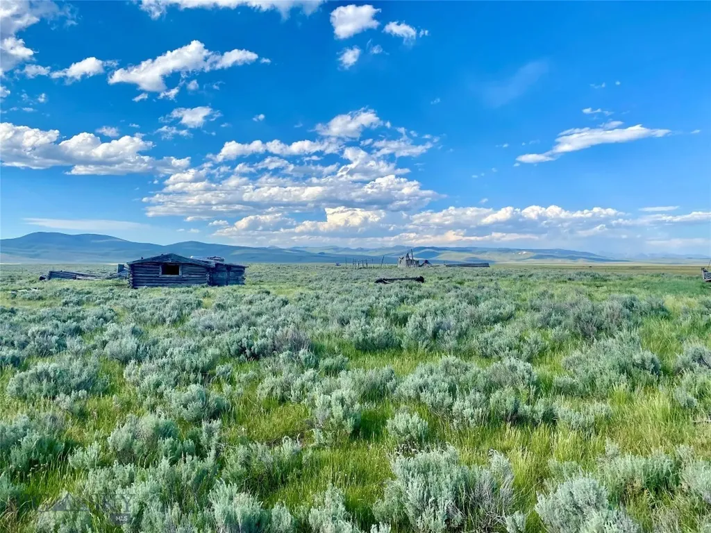 Tbd Brundage Lane Lima MT 59739