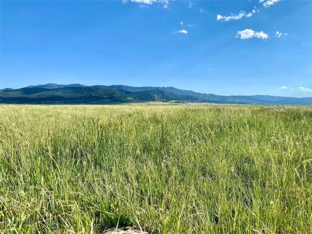 Tbd Brundage Lane Lima MT 59739