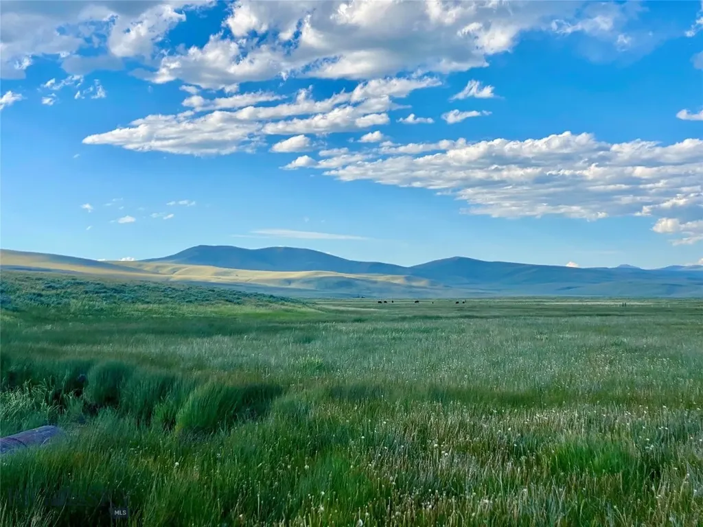Tbd Brundage Lane Lima MT 59739