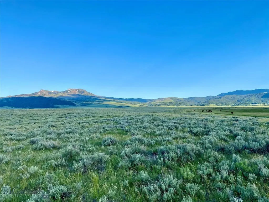 Tbd Brundage Lane Lima MT 59739