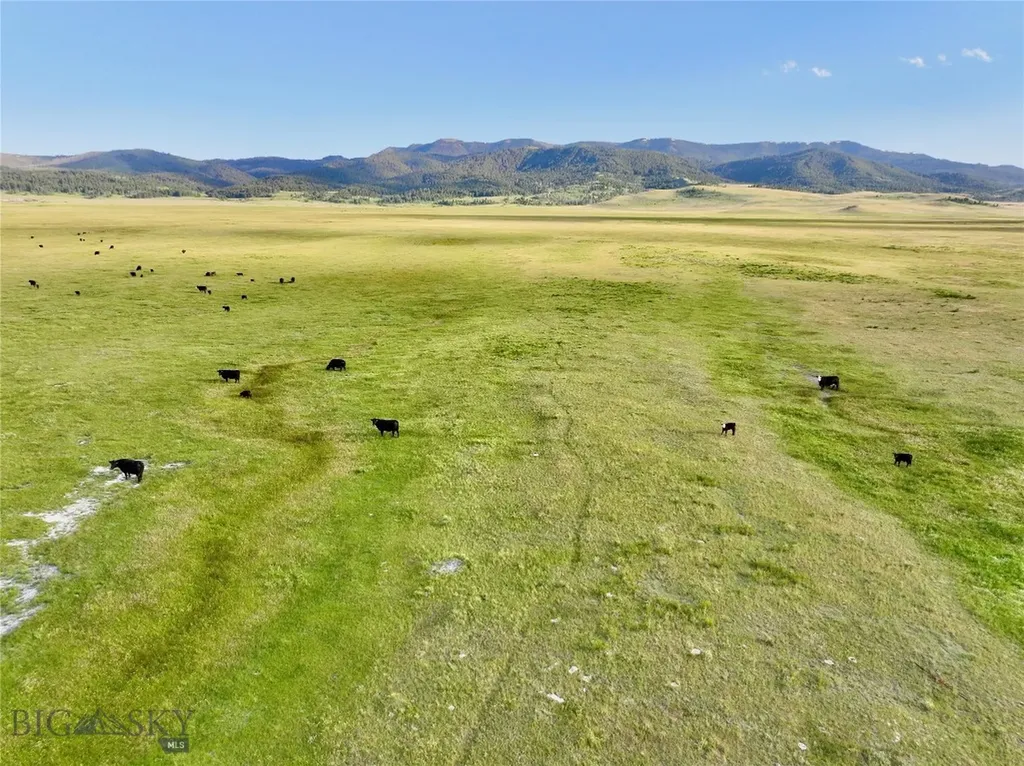 Tbd Brundage Lane Lima MT 59739