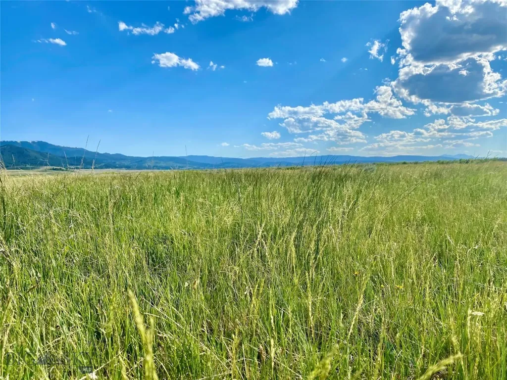 Tbd Brundage Lane Lima MT 59739