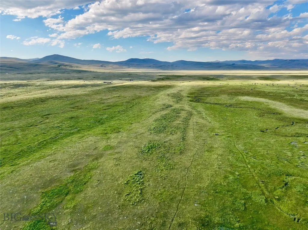 Tbd Brundage Lane Lima MT 59739