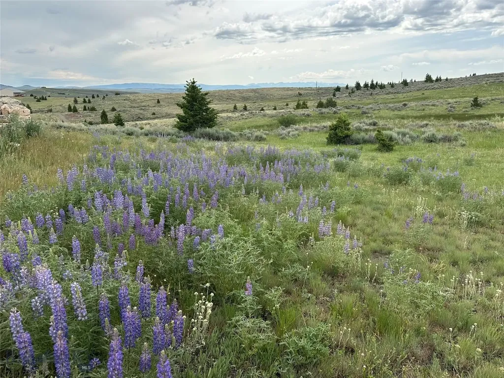 64 Mountain View Trail White Sulphur Springs MT 59645