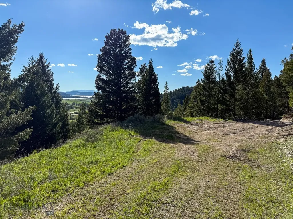 Tbd (5.4+/- Acres) Gold Coin Lane Anaconda MT 59711