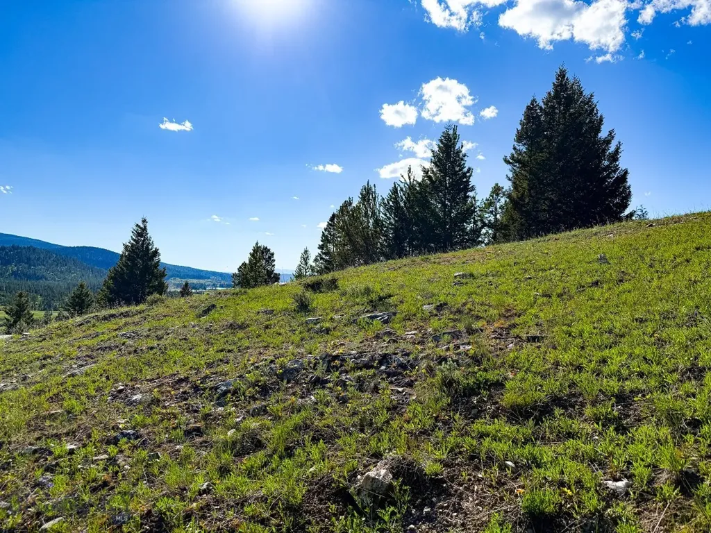 Tbd (5.4+/- Acres) Gold Coin Lane Anaconda MT 59711