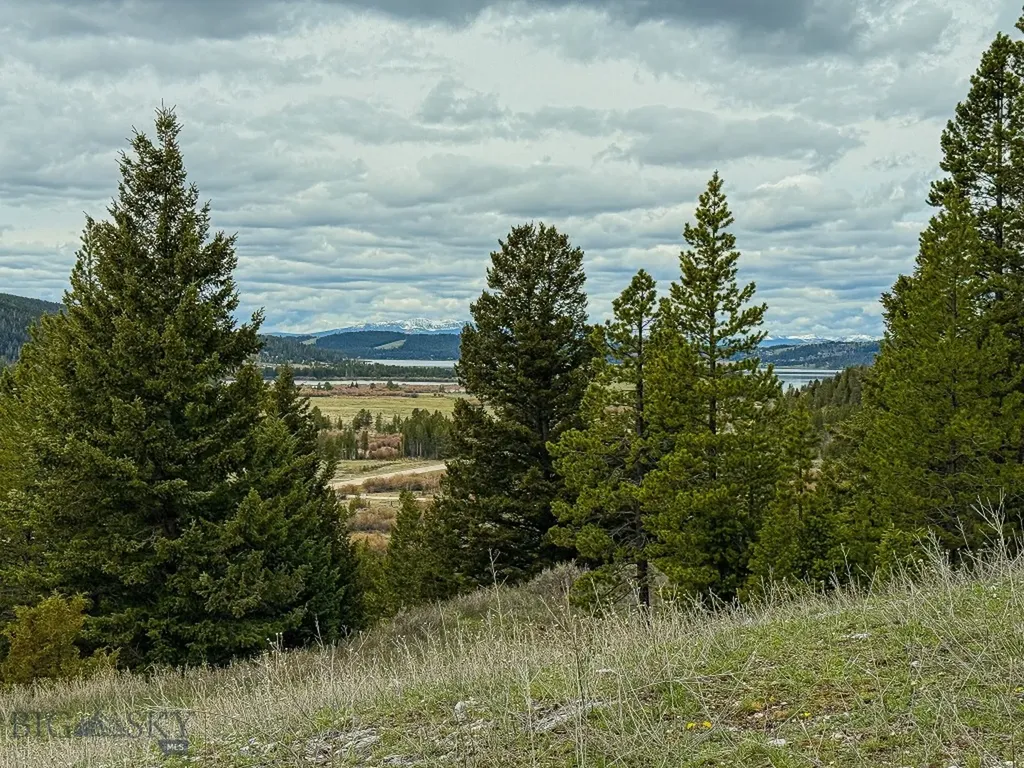 Tbd (5.4+/- Acres) Gold Coin Lane Anaconda MT 59711