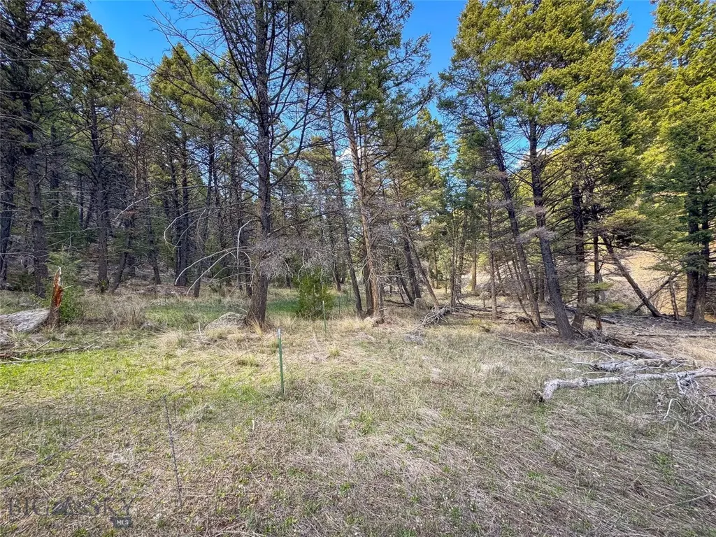 Tbd (12.7+/- Acres) High Ore Road Boulder MT 59632