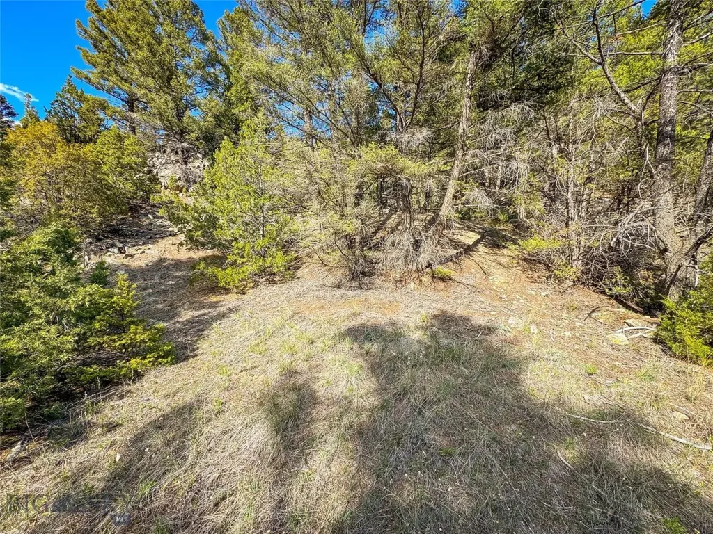 Tbd (28.6+/- Acres) High Ore Road Boulder MT 59632
