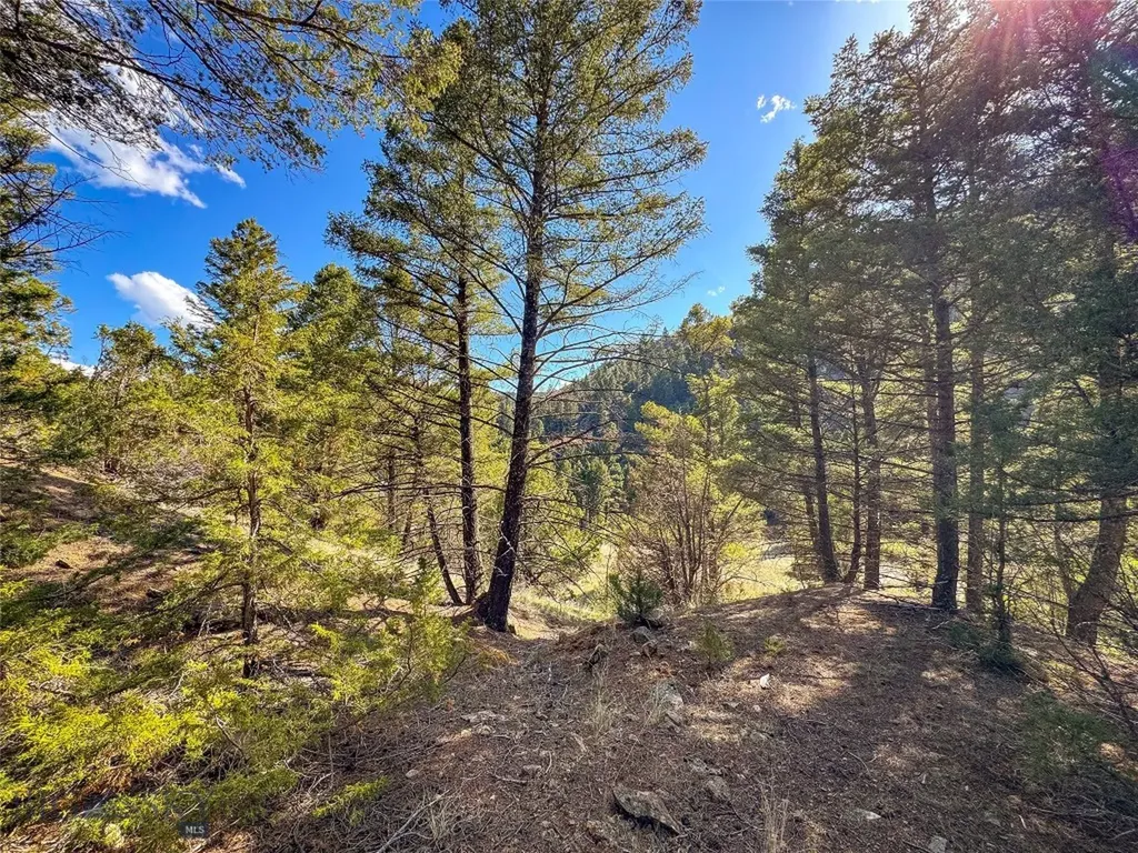 Tbd (28.6+/- Acres) High Ore Road Boulder MT 59632