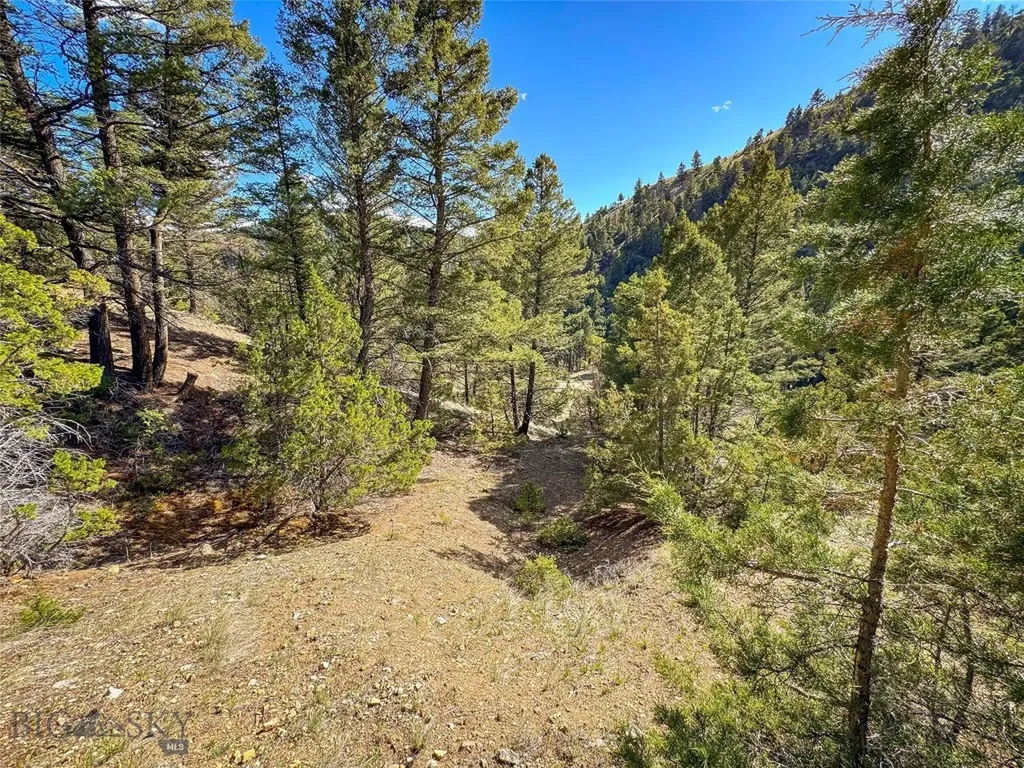 Tbd (28.6+/- Acres) High Ore Road Boulder MT 59632