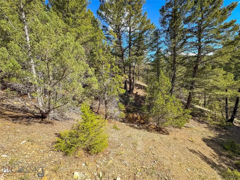 Tbd (28.6+/- Acres) High Ore Road Boulder MT 59632