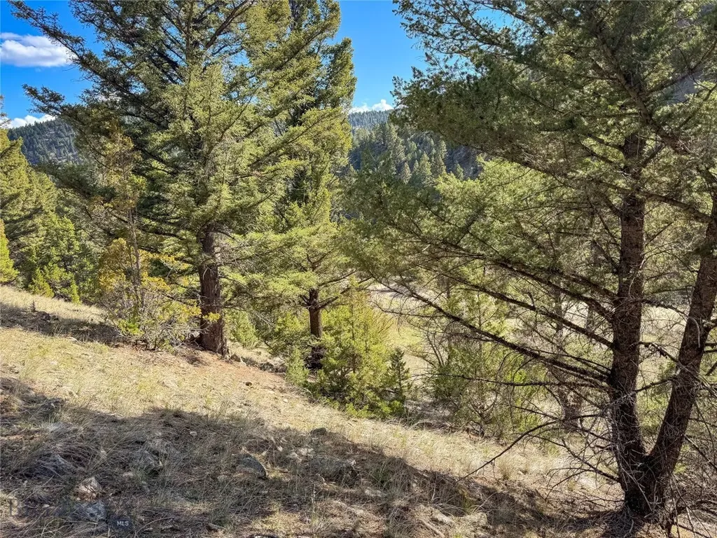 Tbd (28.6+/- Acres) High Ore Road Boulder MT 59632