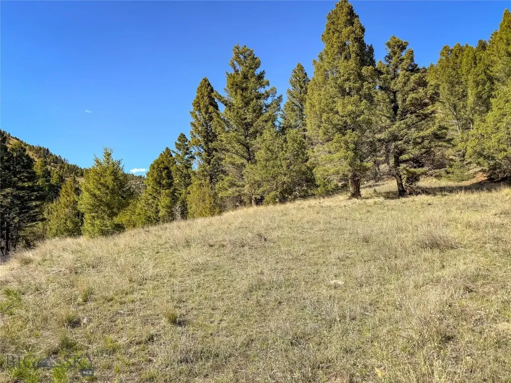 Tbd (28.6+/- Acres) High Ore Road Boulder MT 59632