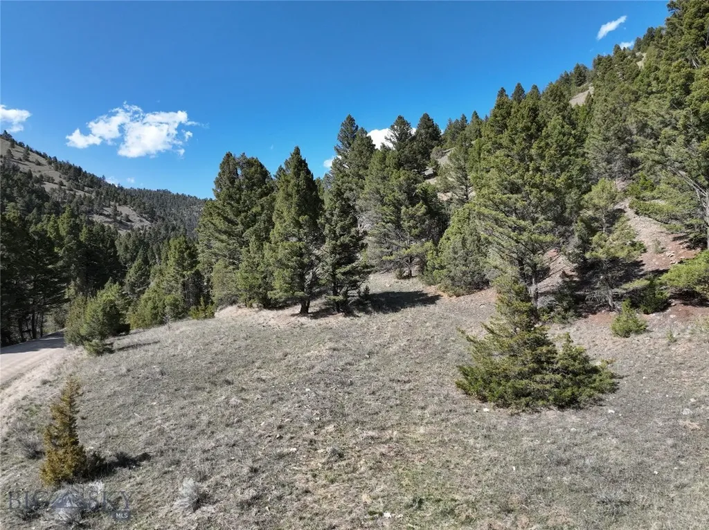 Tbd (28.6+/- Acres) High Ore Road Boulder MT 59632