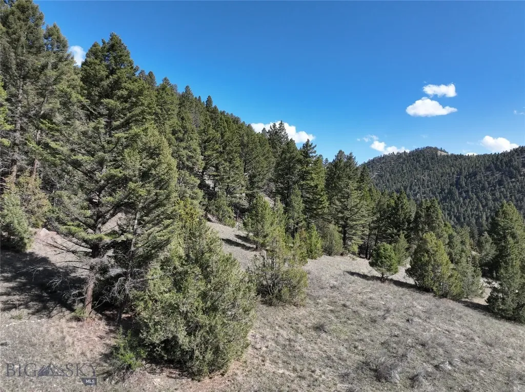 Tbd (28.6+/- Acres) High Ore Road Boulder MT 59632