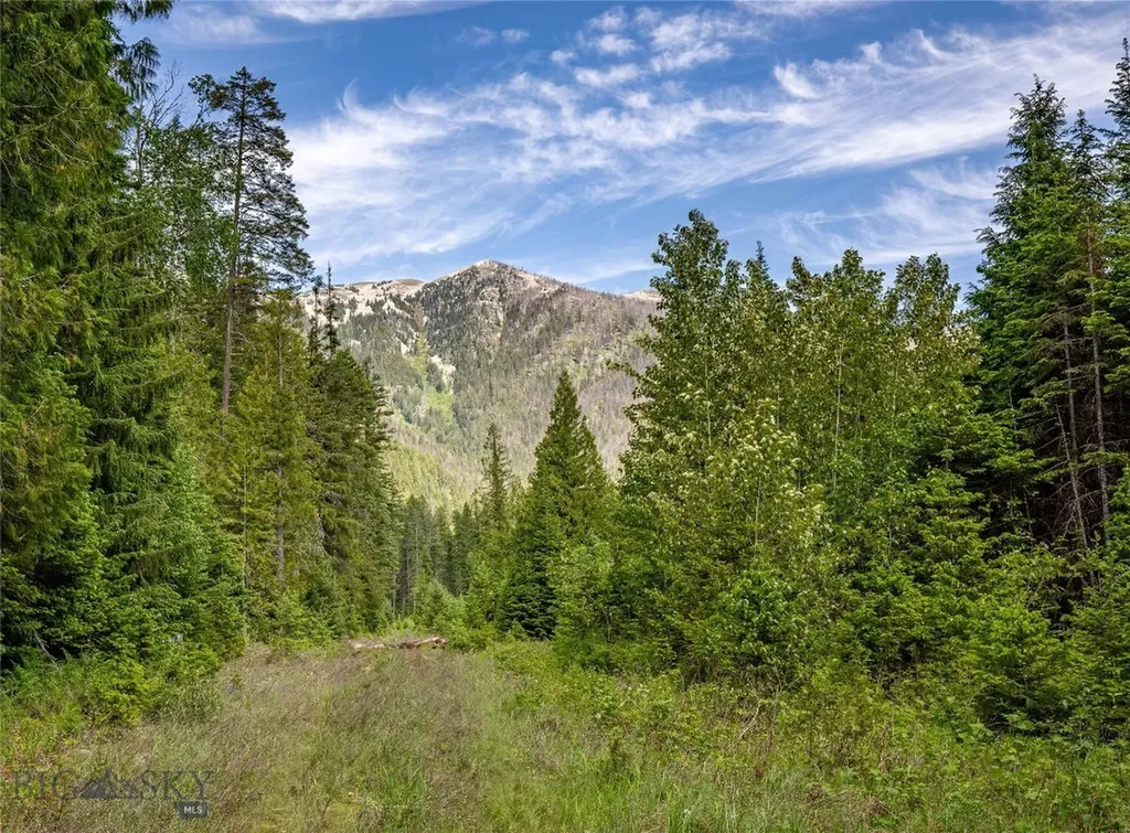 189 Blue Creek Road Heron MT 59844