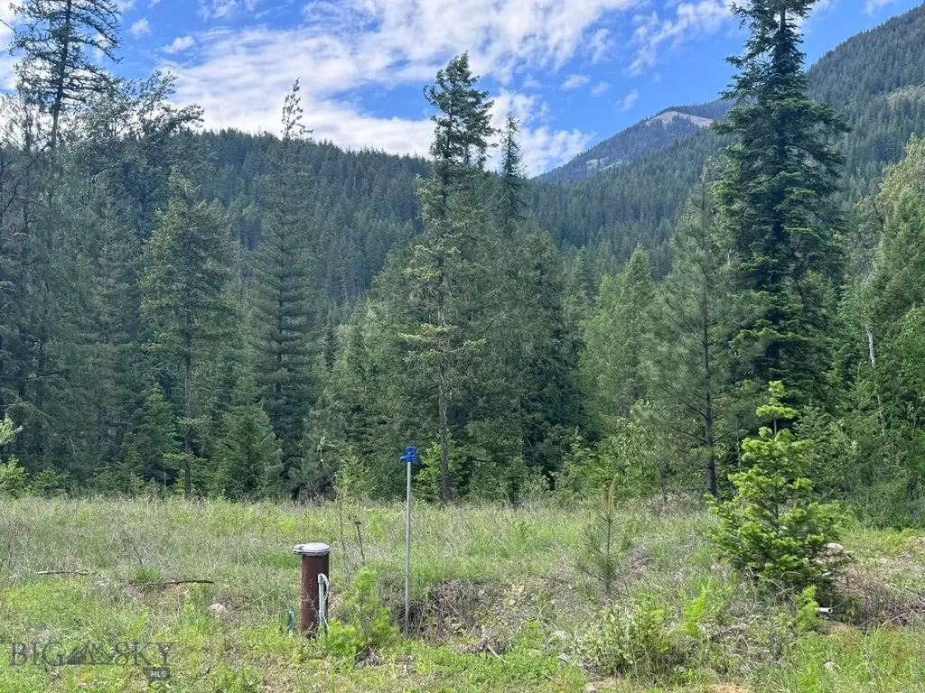 189 Blue Creek Road Heron MT 59844