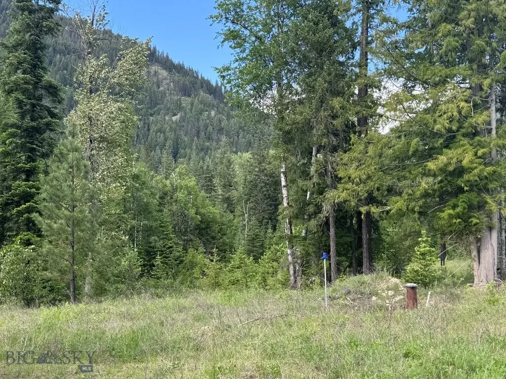 189 Blue Creek Road Heron MT 59844