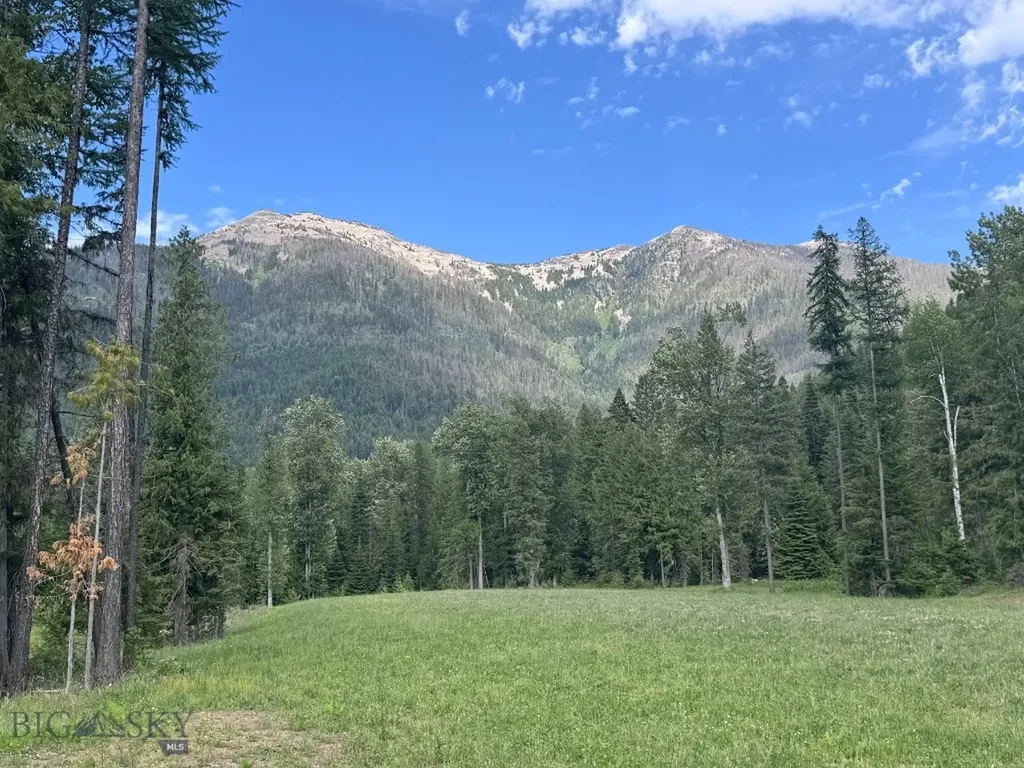 189 Blue Creek Road Heron MT 59844