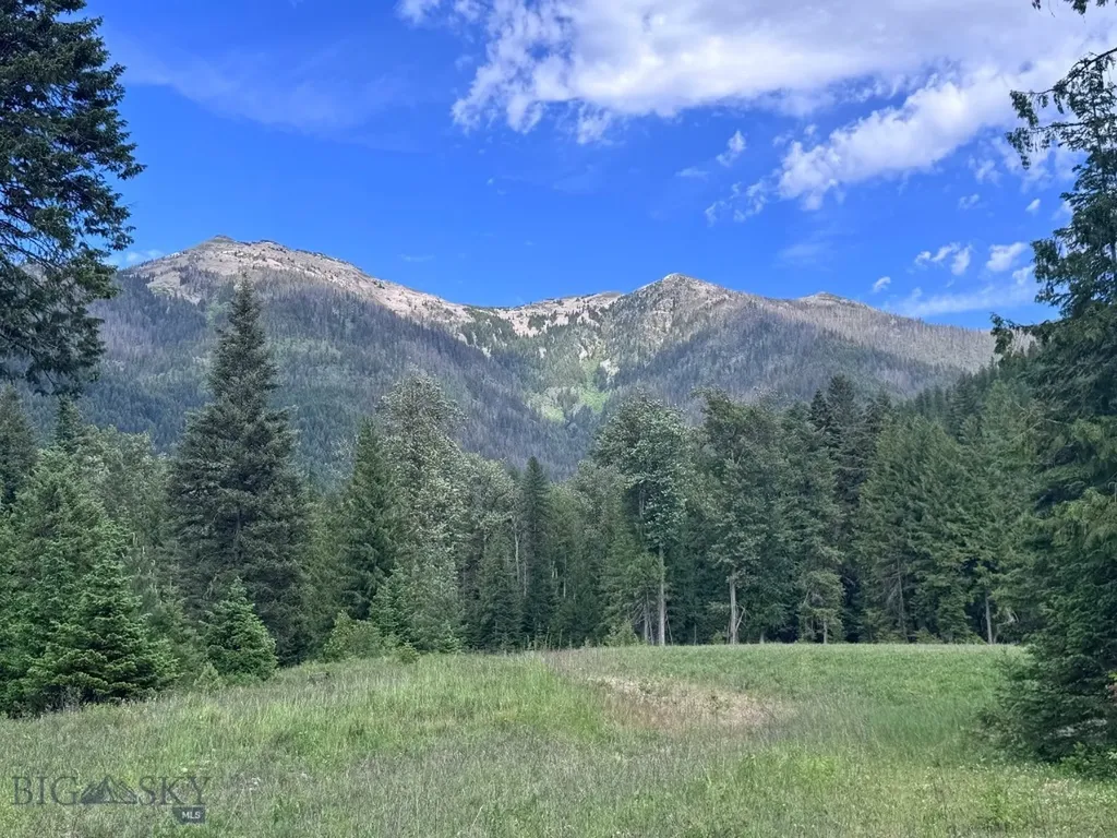 189 Blue Creek Road Heron MT 59844