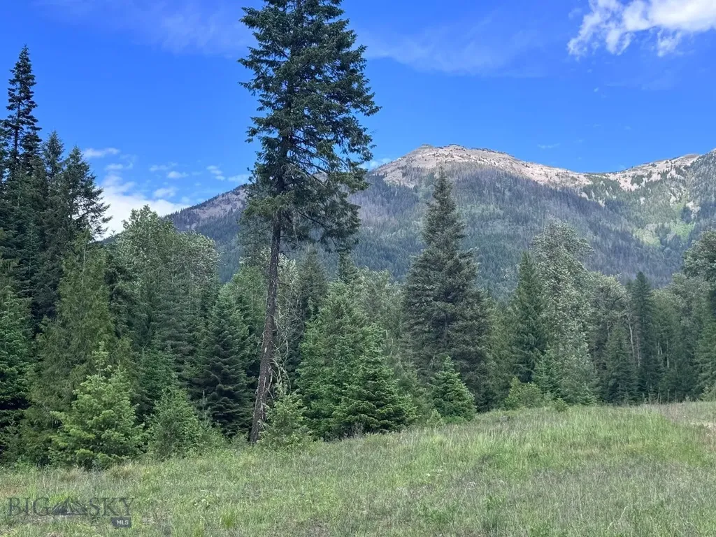 189 Blue Creek Road Heron MT 59844