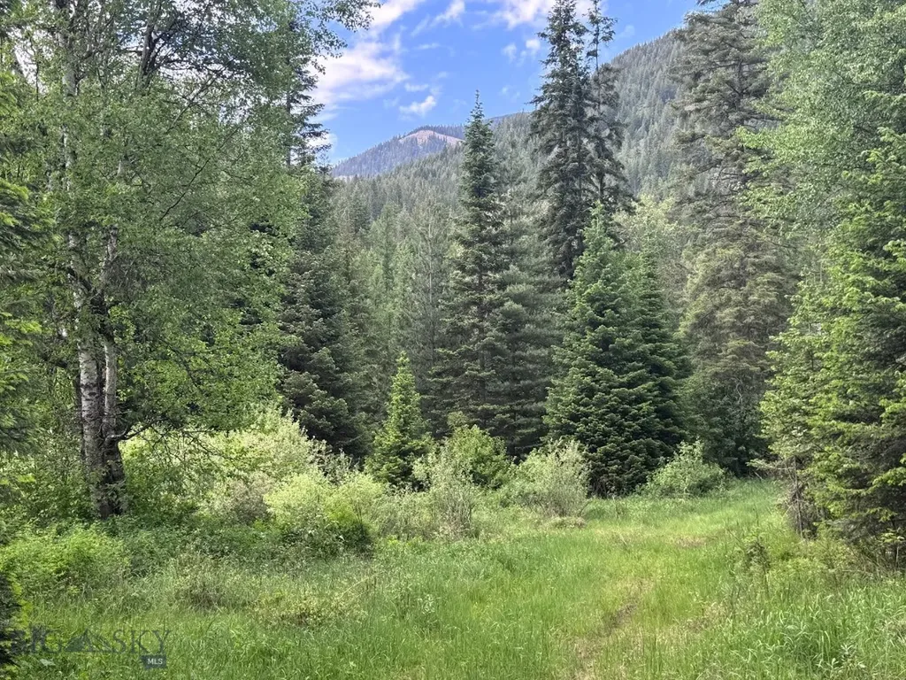 189 Blue Creek Road Heron MT 59844