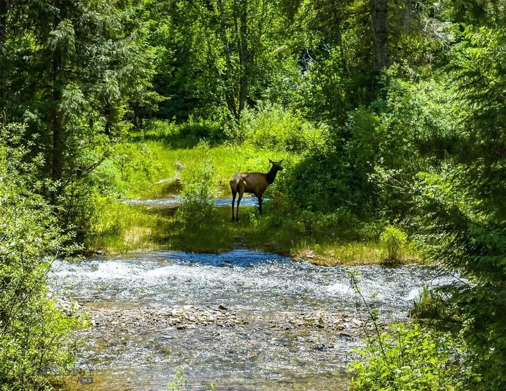 189 Blue Creek Road Heron MT 59844