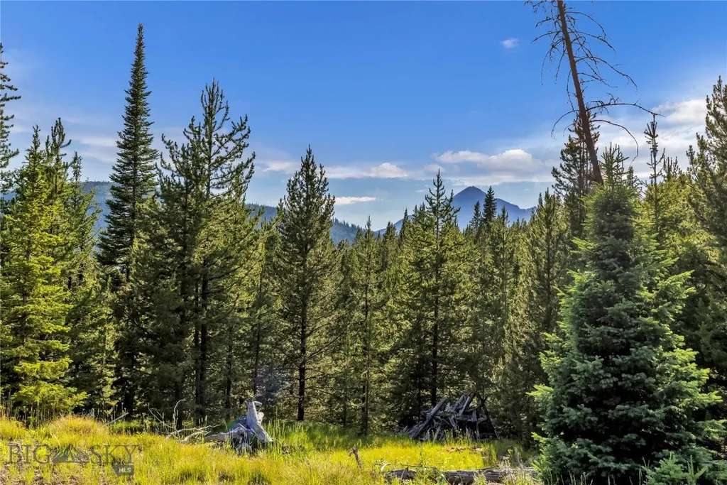 Nhn First Left Drive Big Sky MT 59716