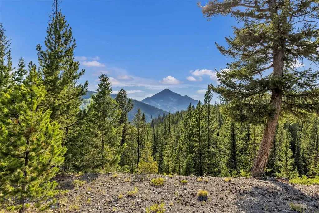 Nhn First Left Drive Big Sky MT 59716