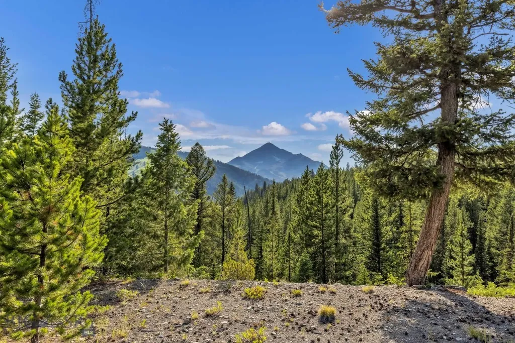 Nhn First Left Drive Big Sky MT 59716