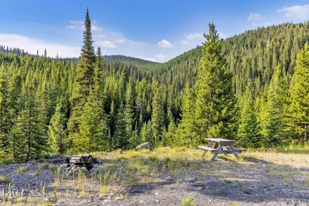 Nhn First Left Drive Big Sky MT 59716